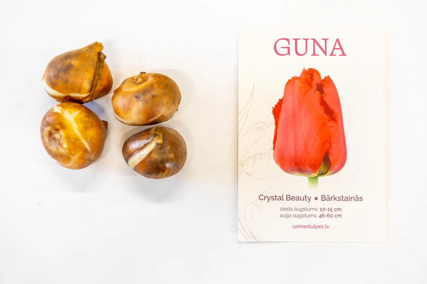 Guna