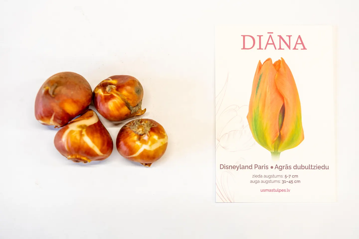 Diāna