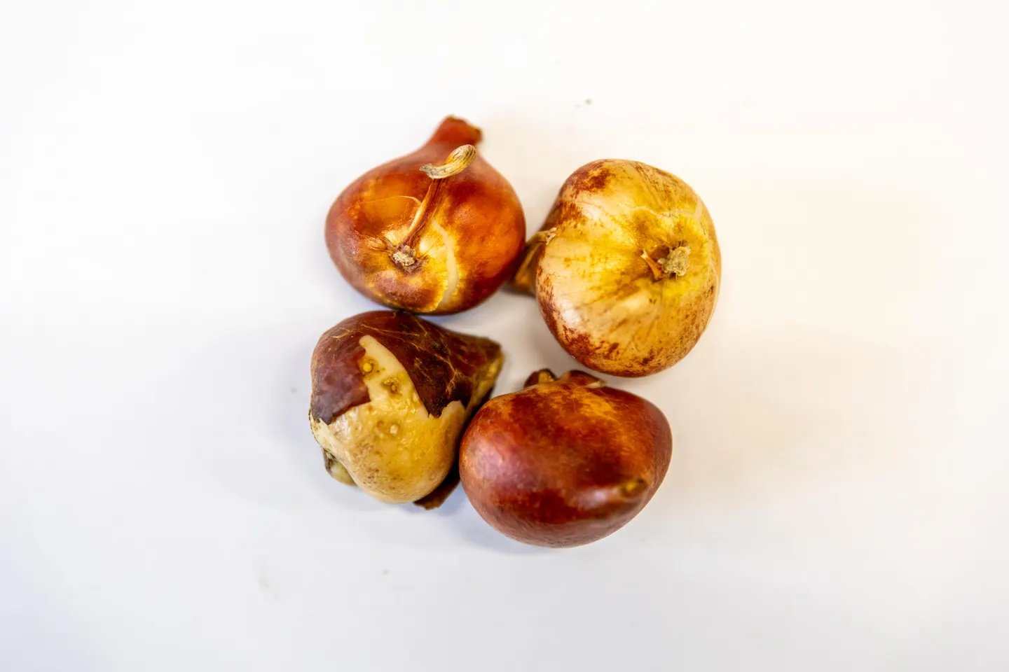 Ērika
