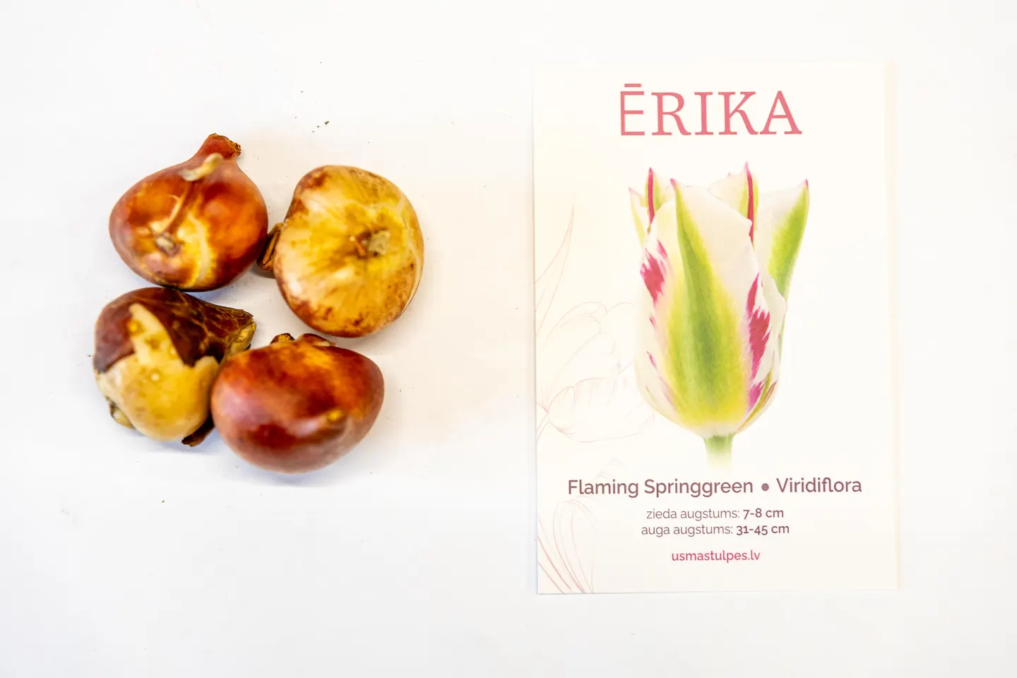 Ērika