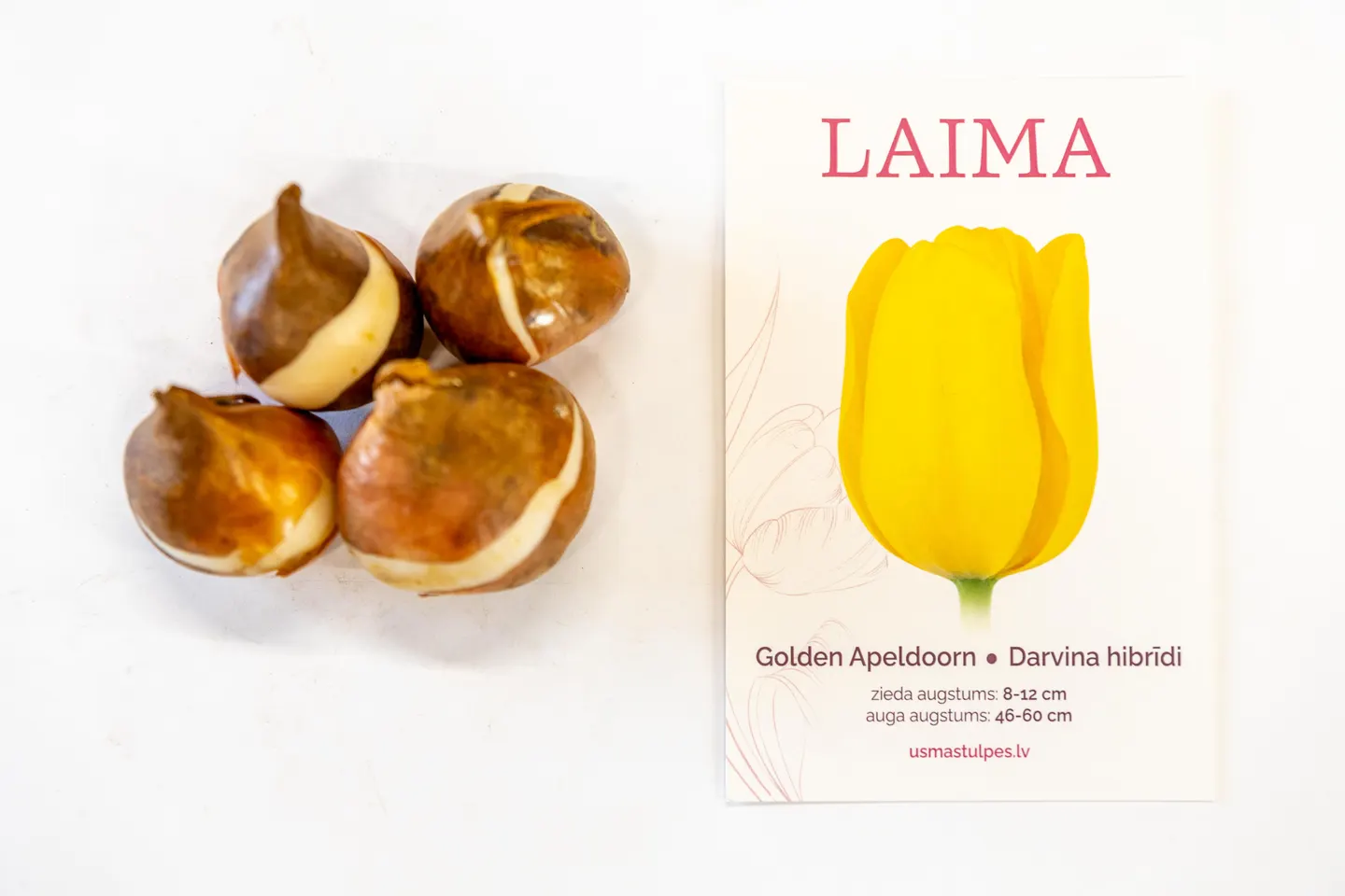 Laima