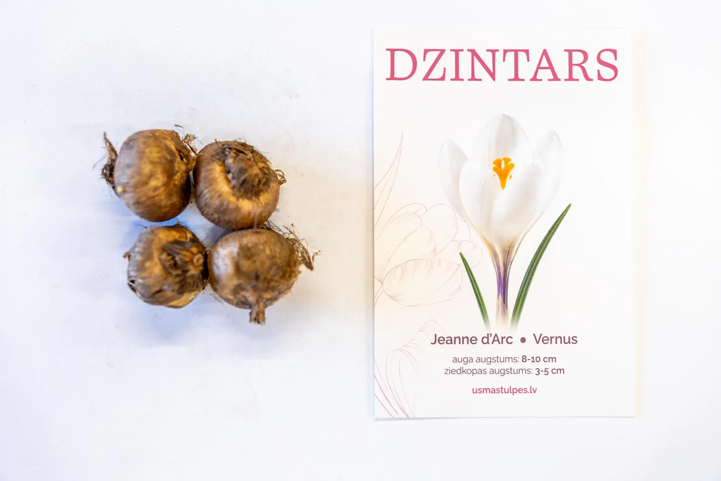 Dzintars