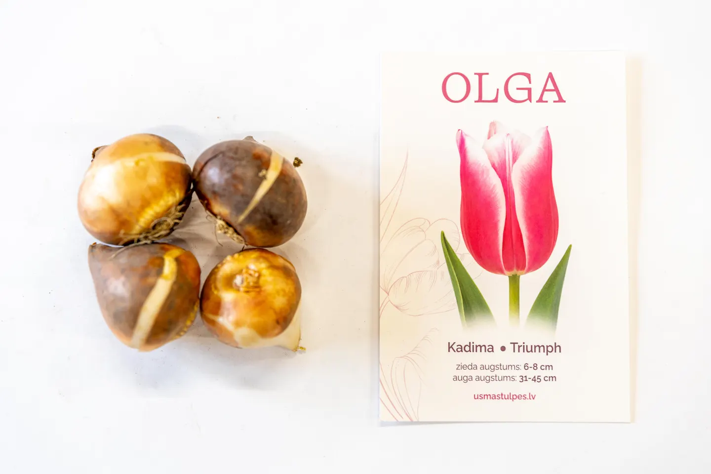 Olga