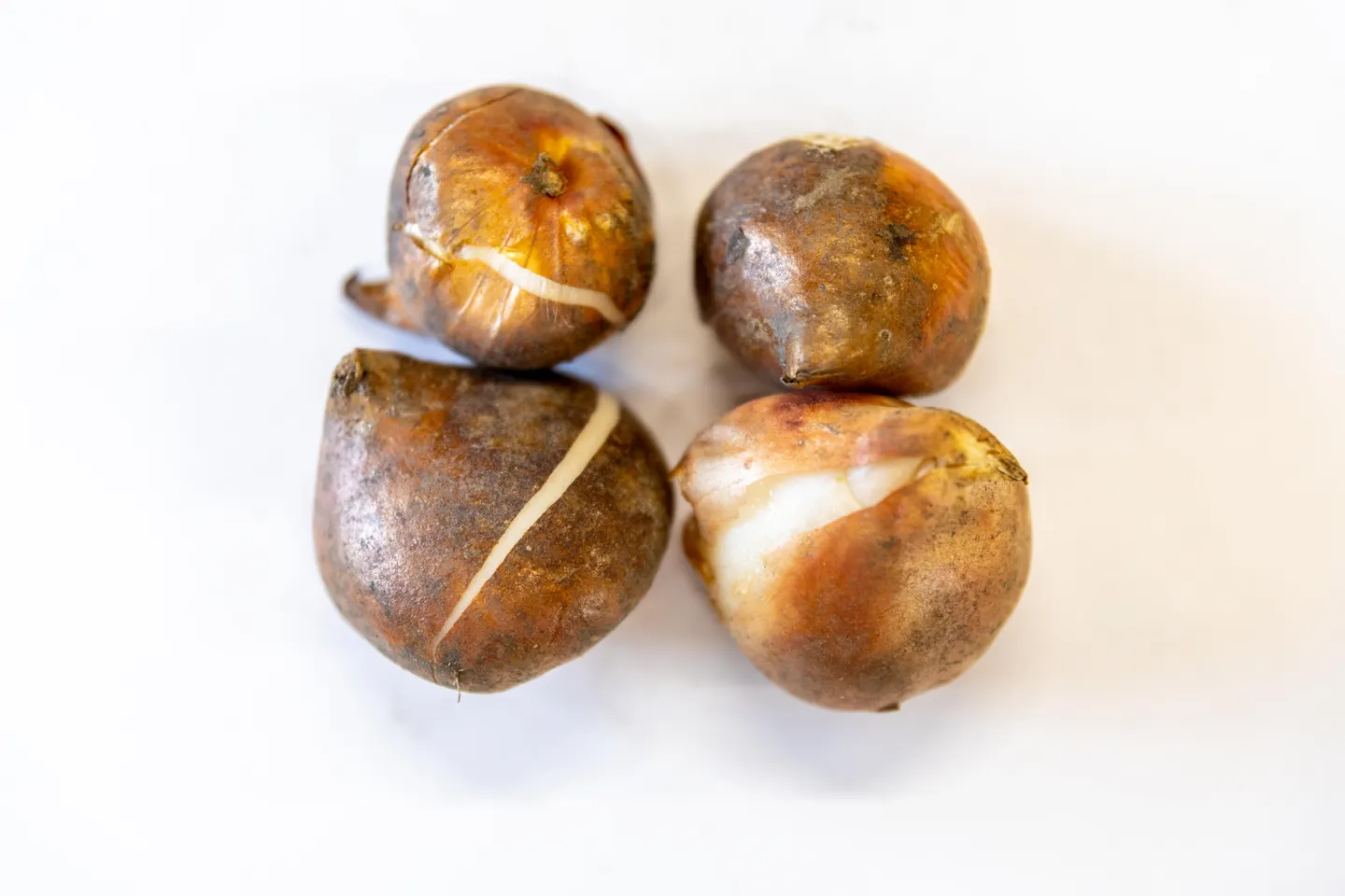 Inguna