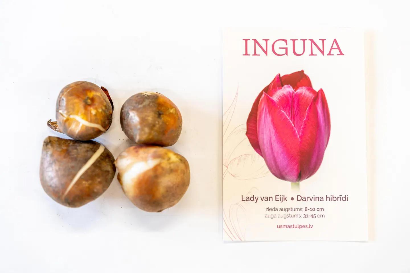 Inguna