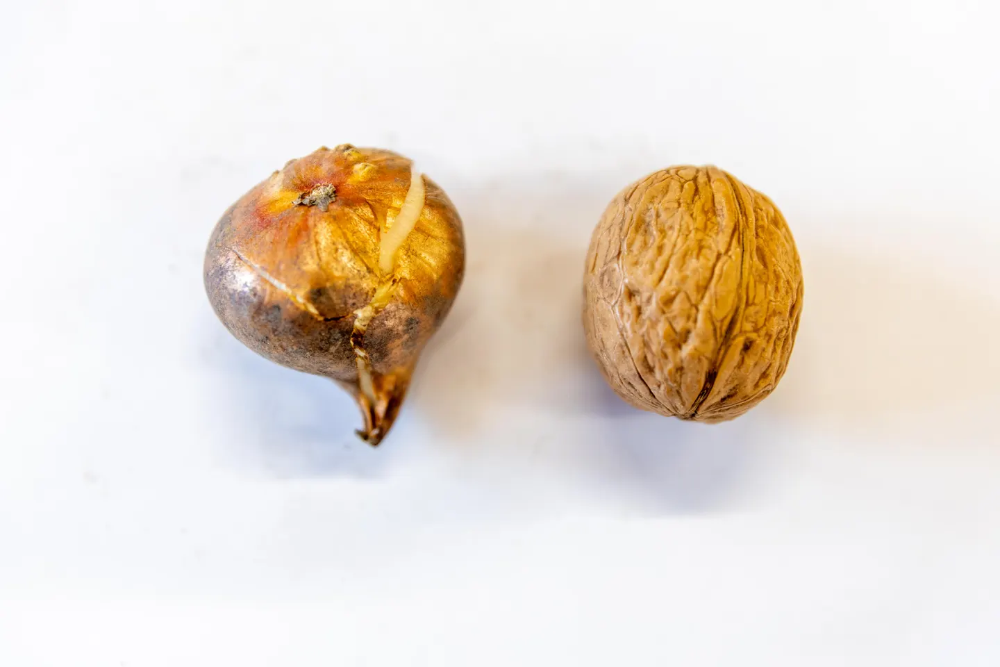 Inguna