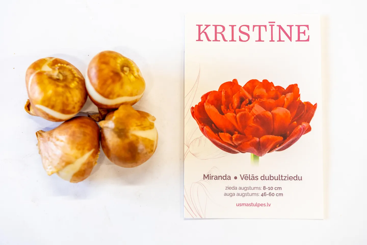 Kristīne
