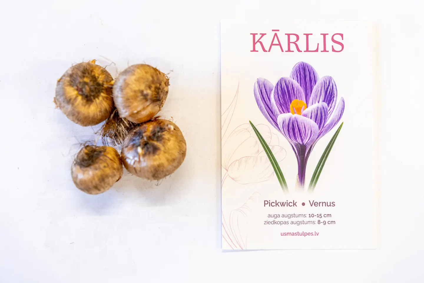 Kārlis