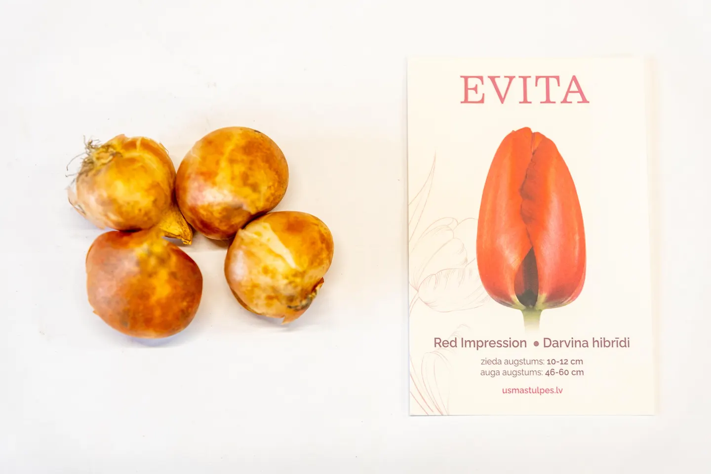 Evita