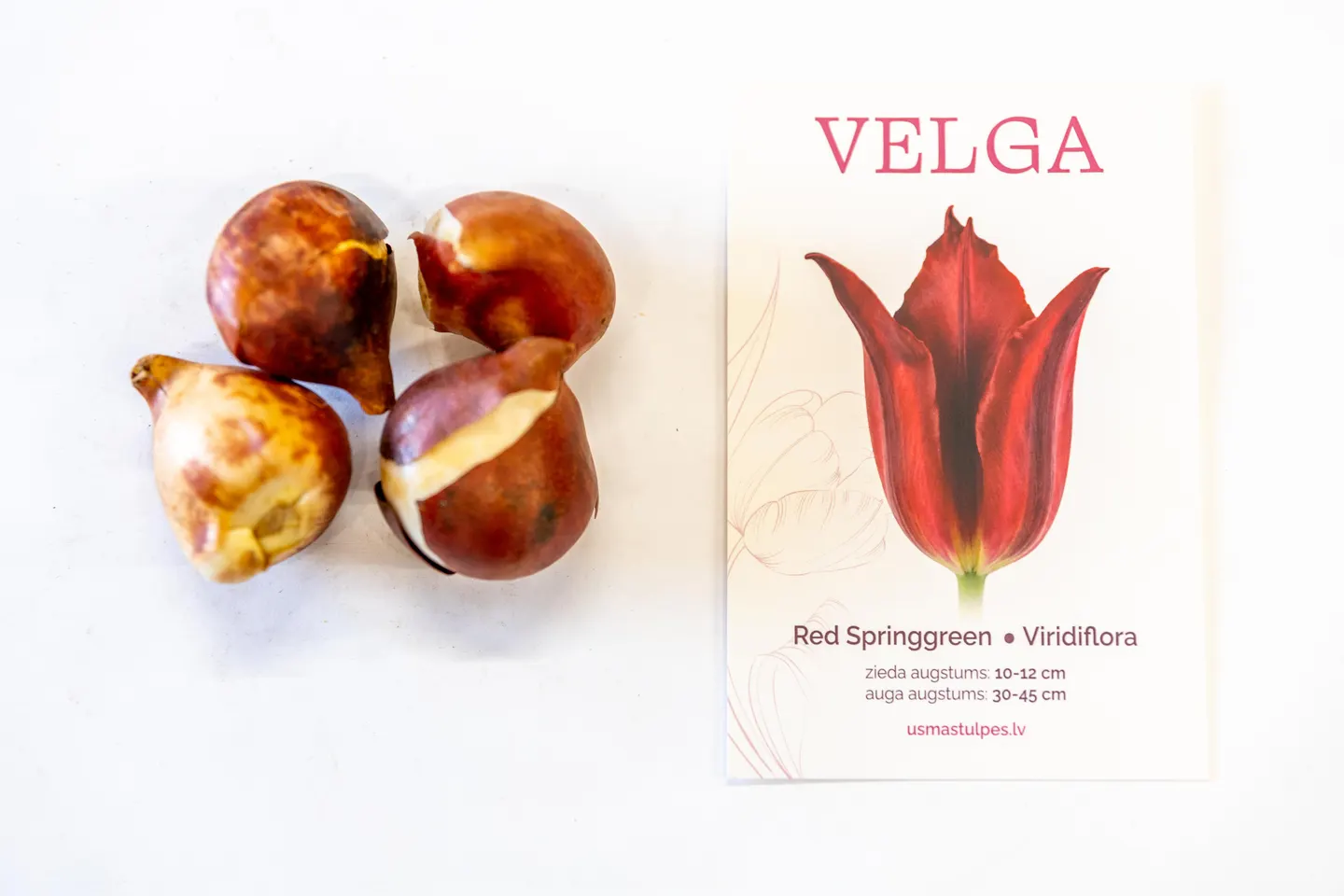 Velga