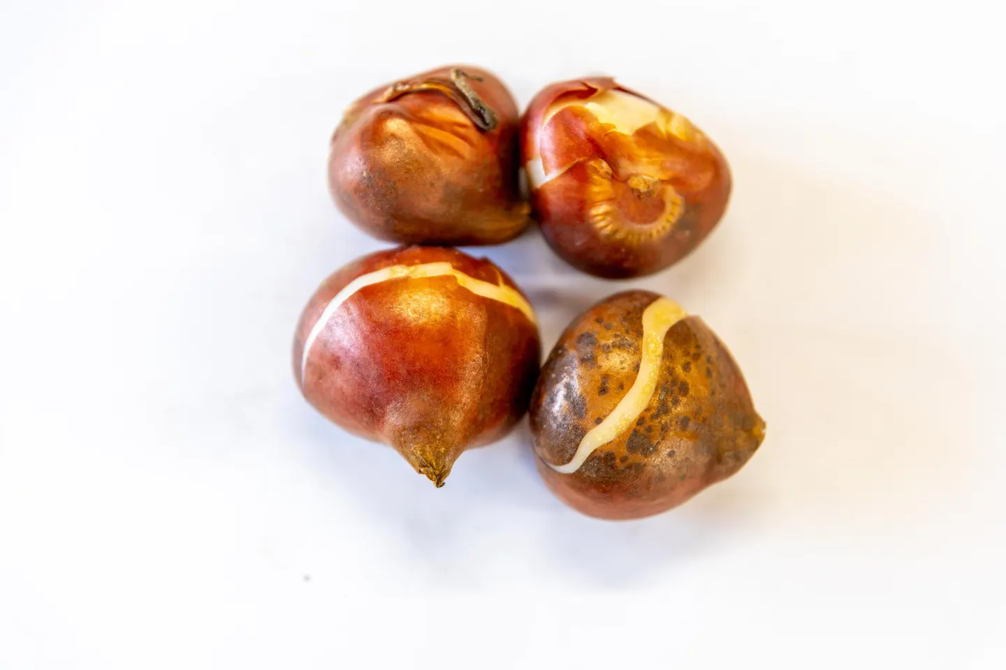 Līga