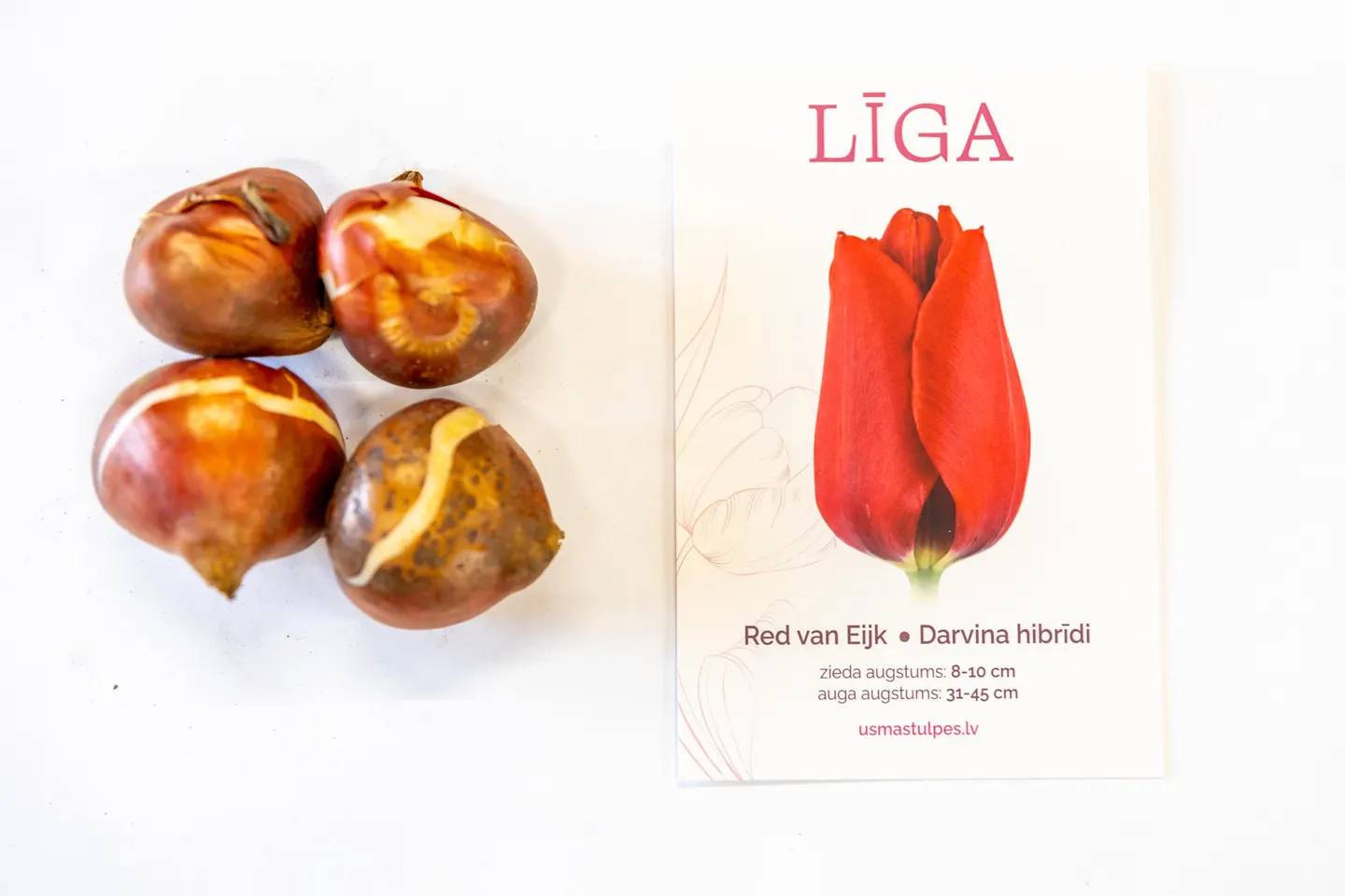 Līga