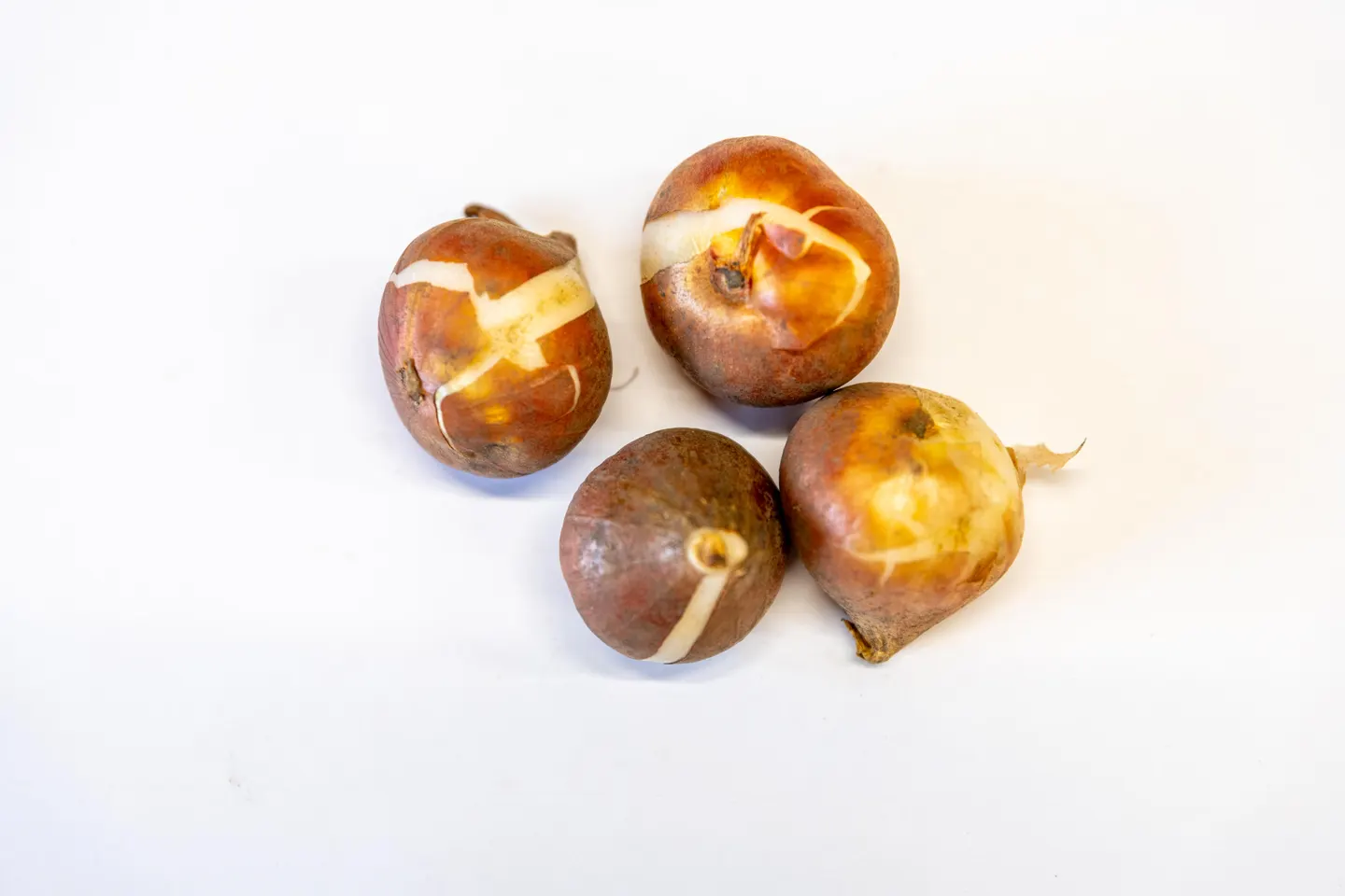 Emīlija
