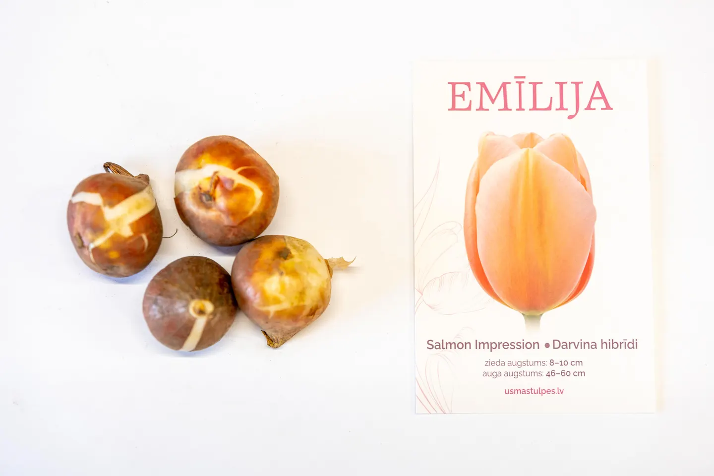 Emīlija