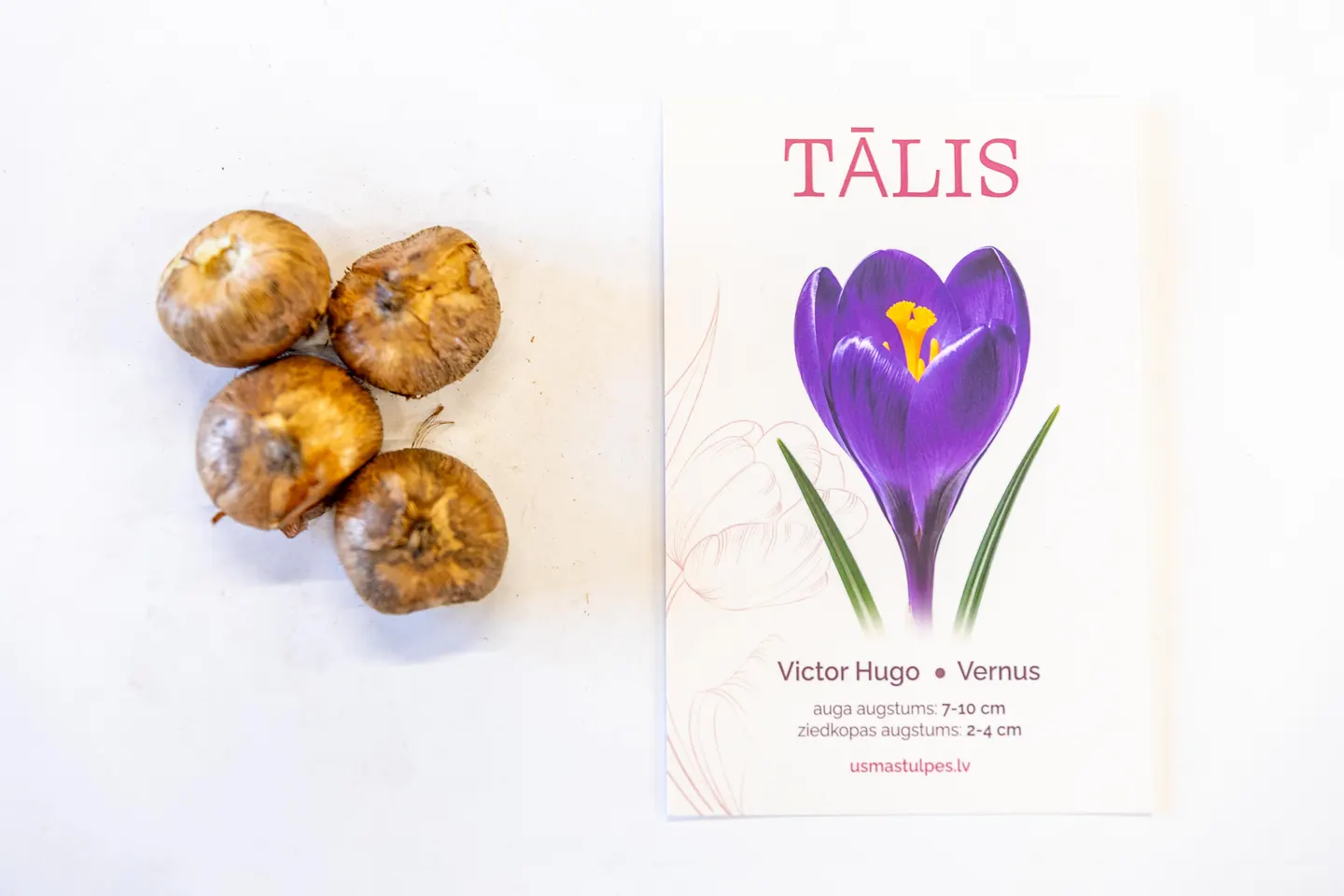 Tālis