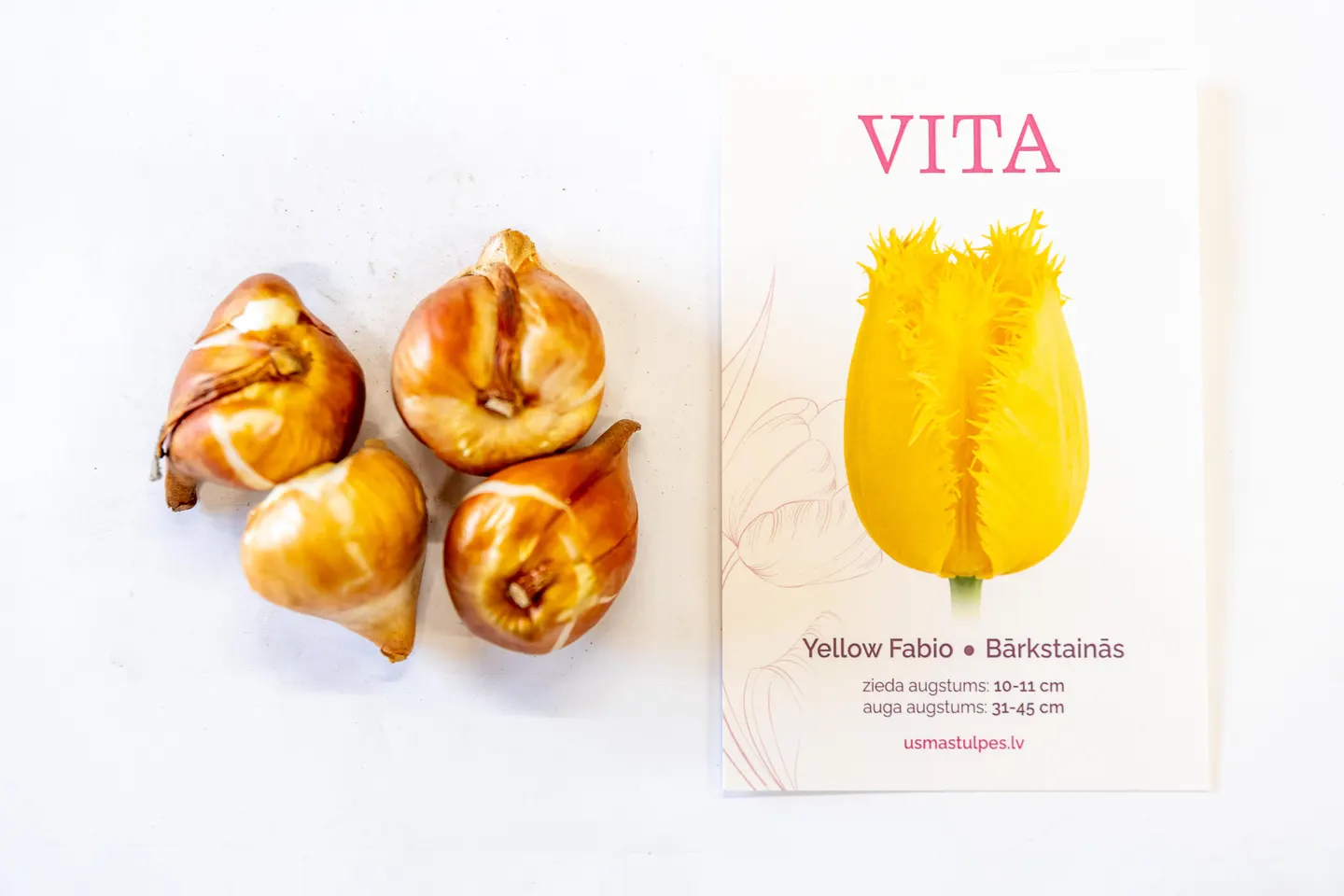 Vita