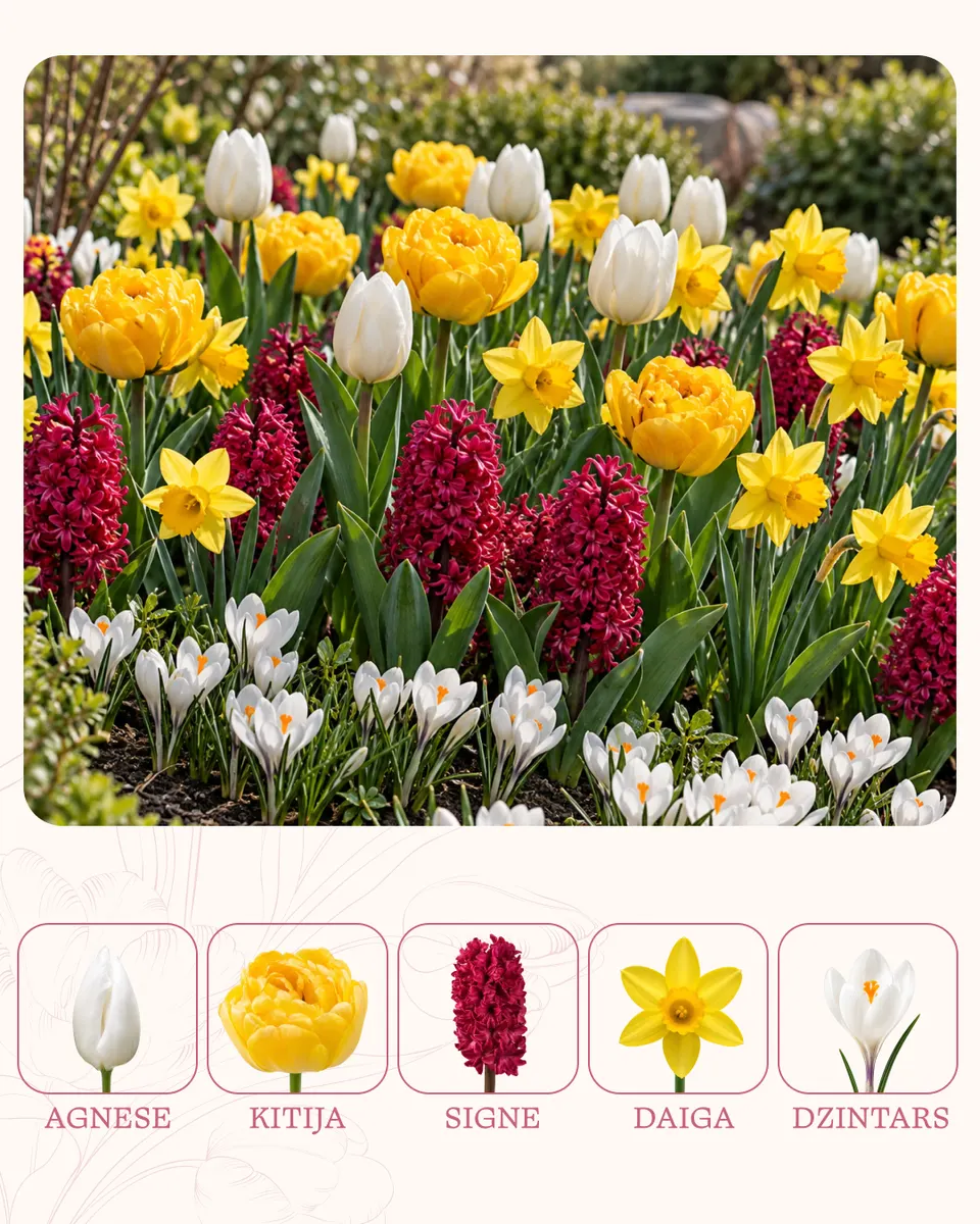 Pavasara atmoda