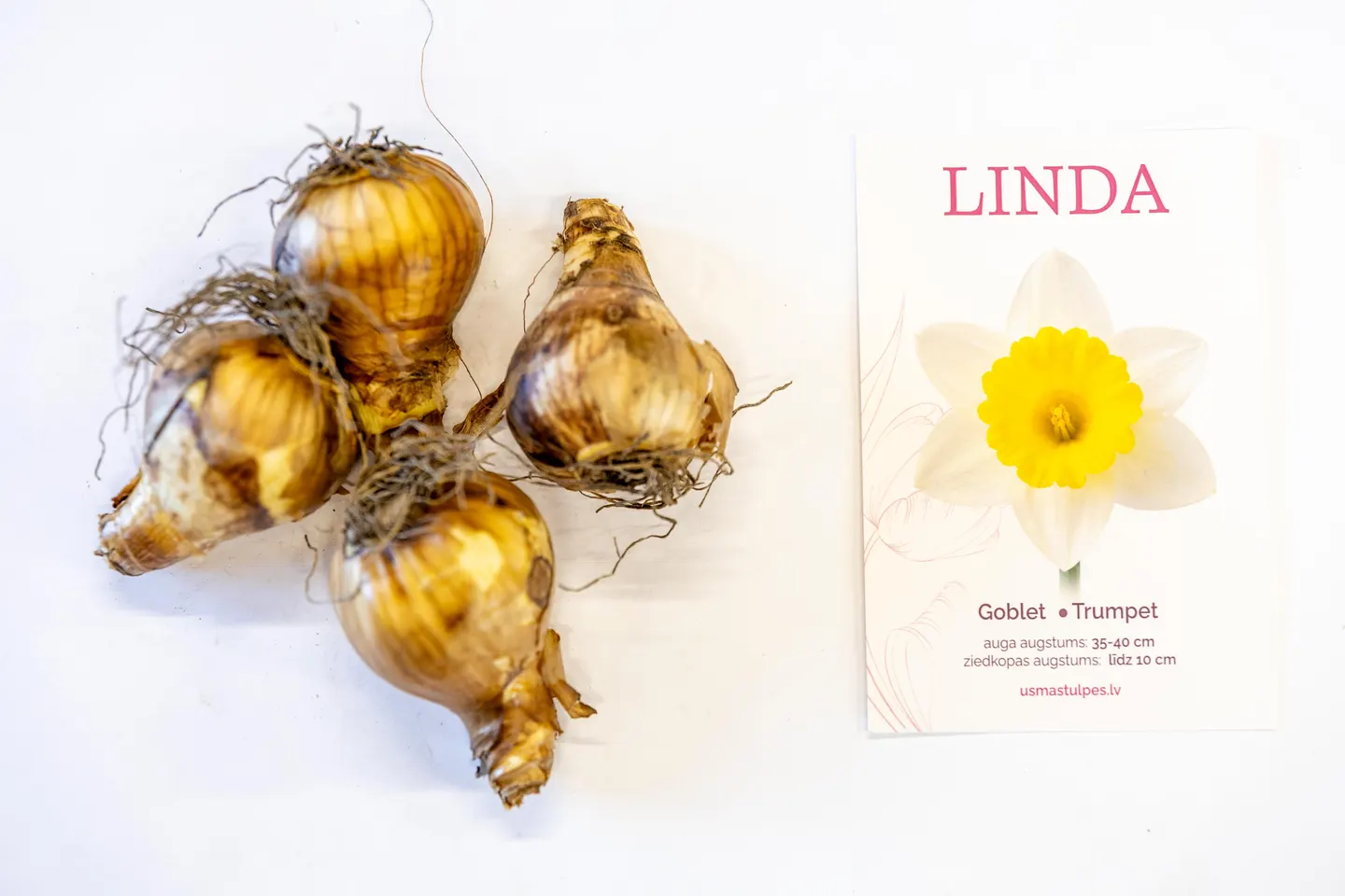 Linda