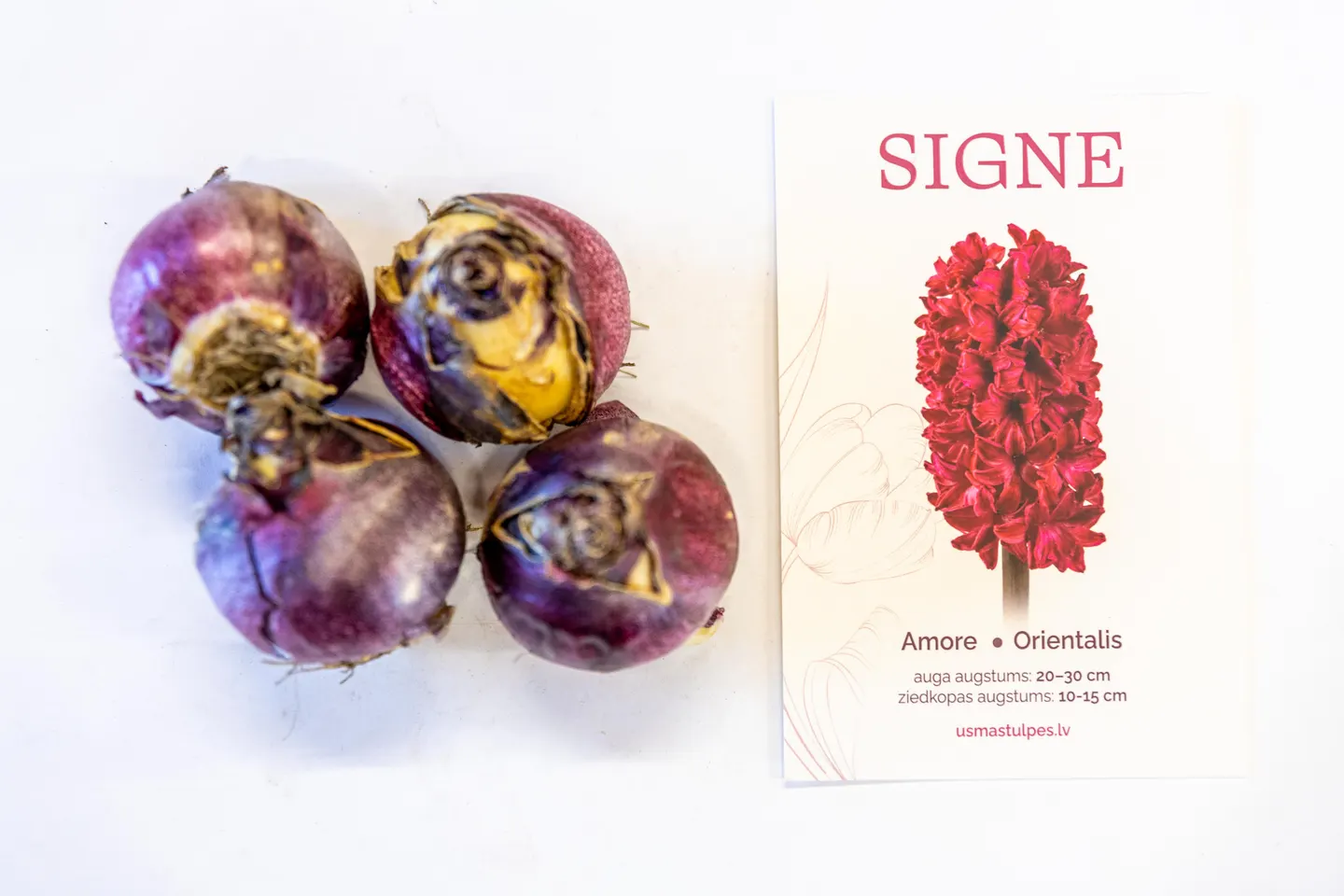 Signe