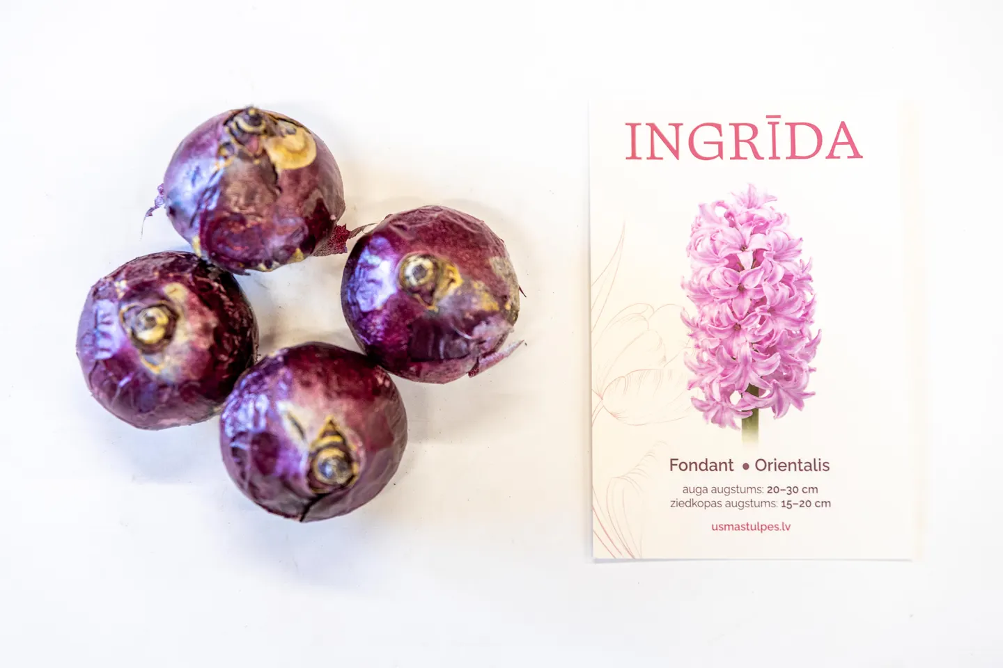 Ingrīda
