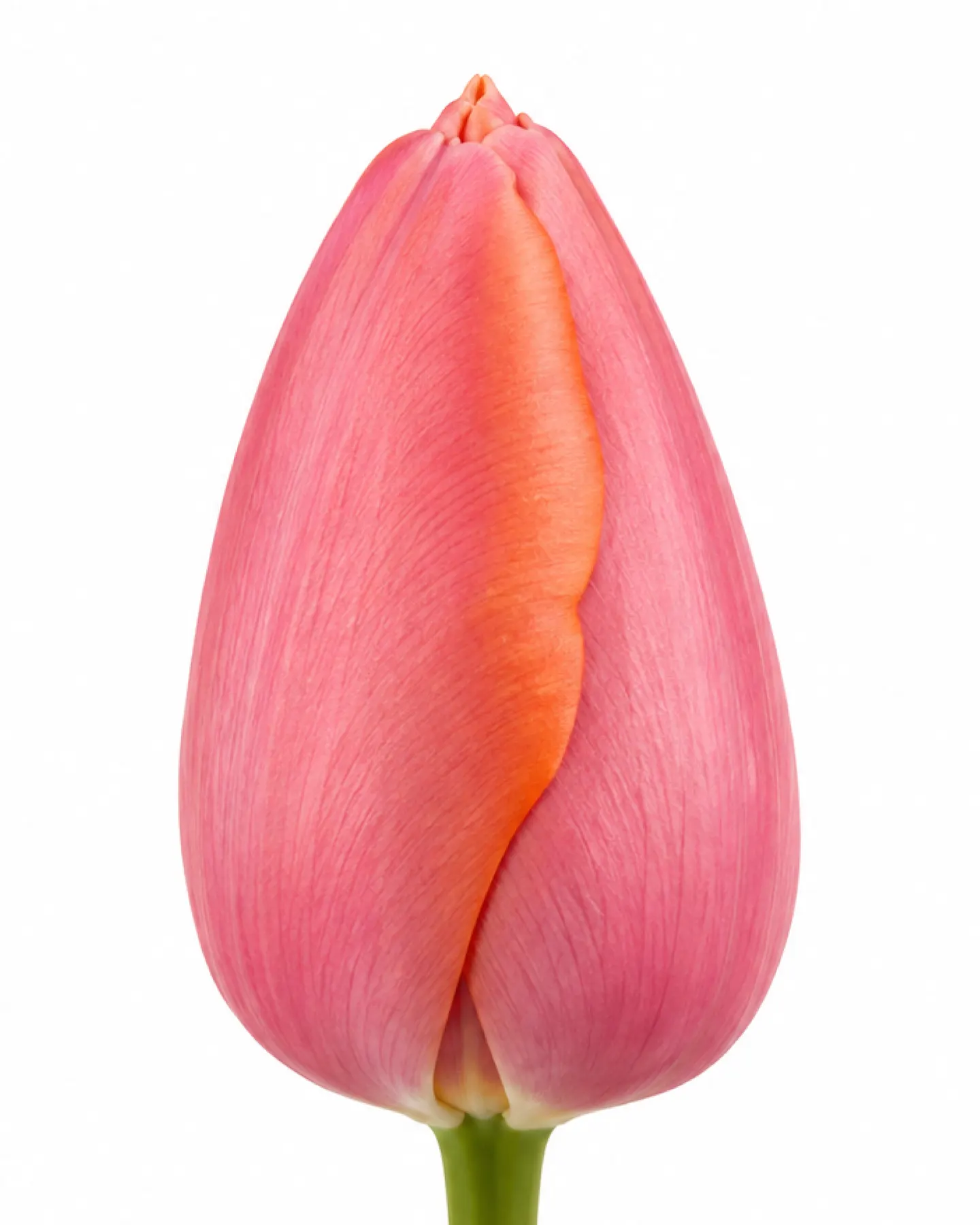 Pārsla