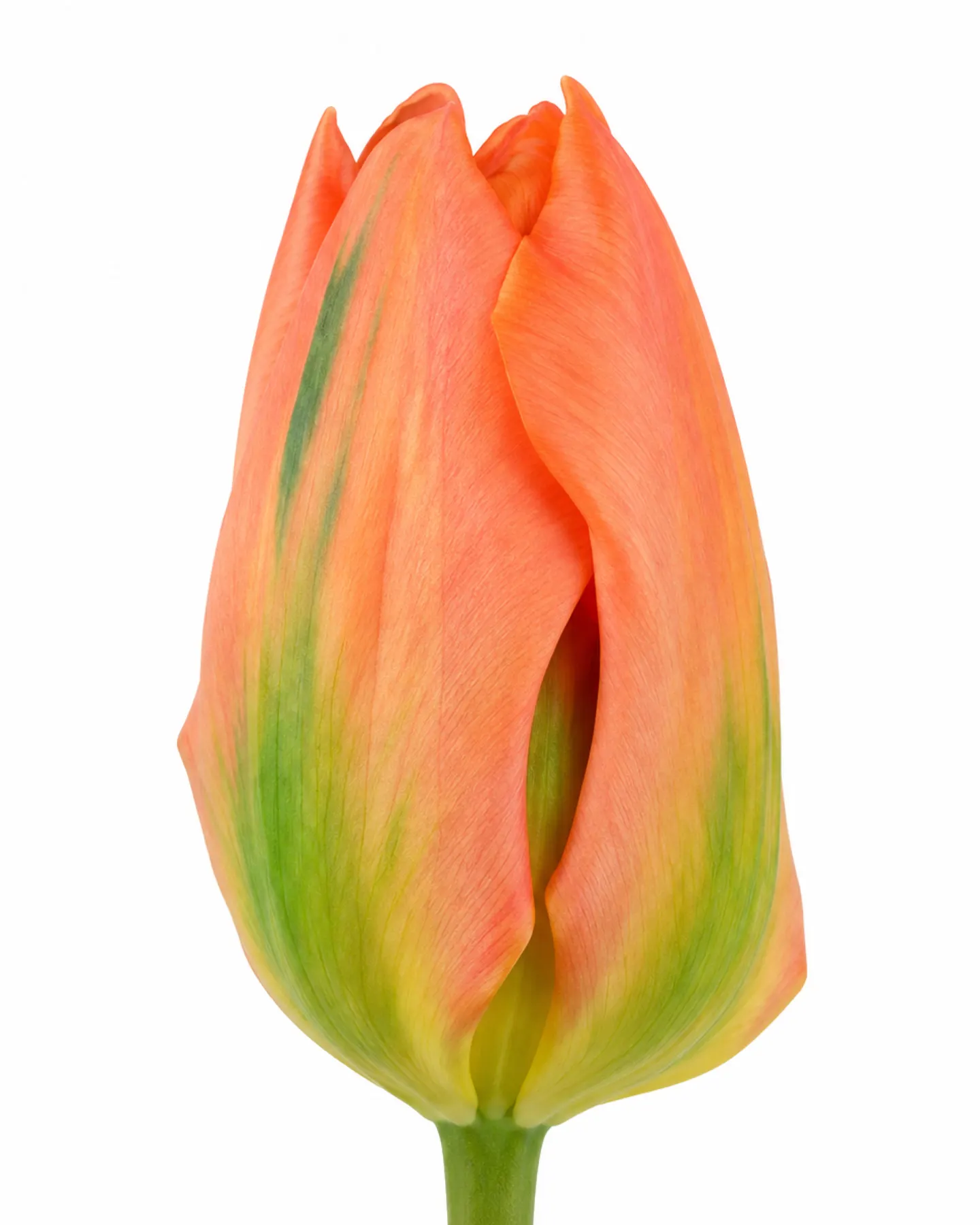 Diāna