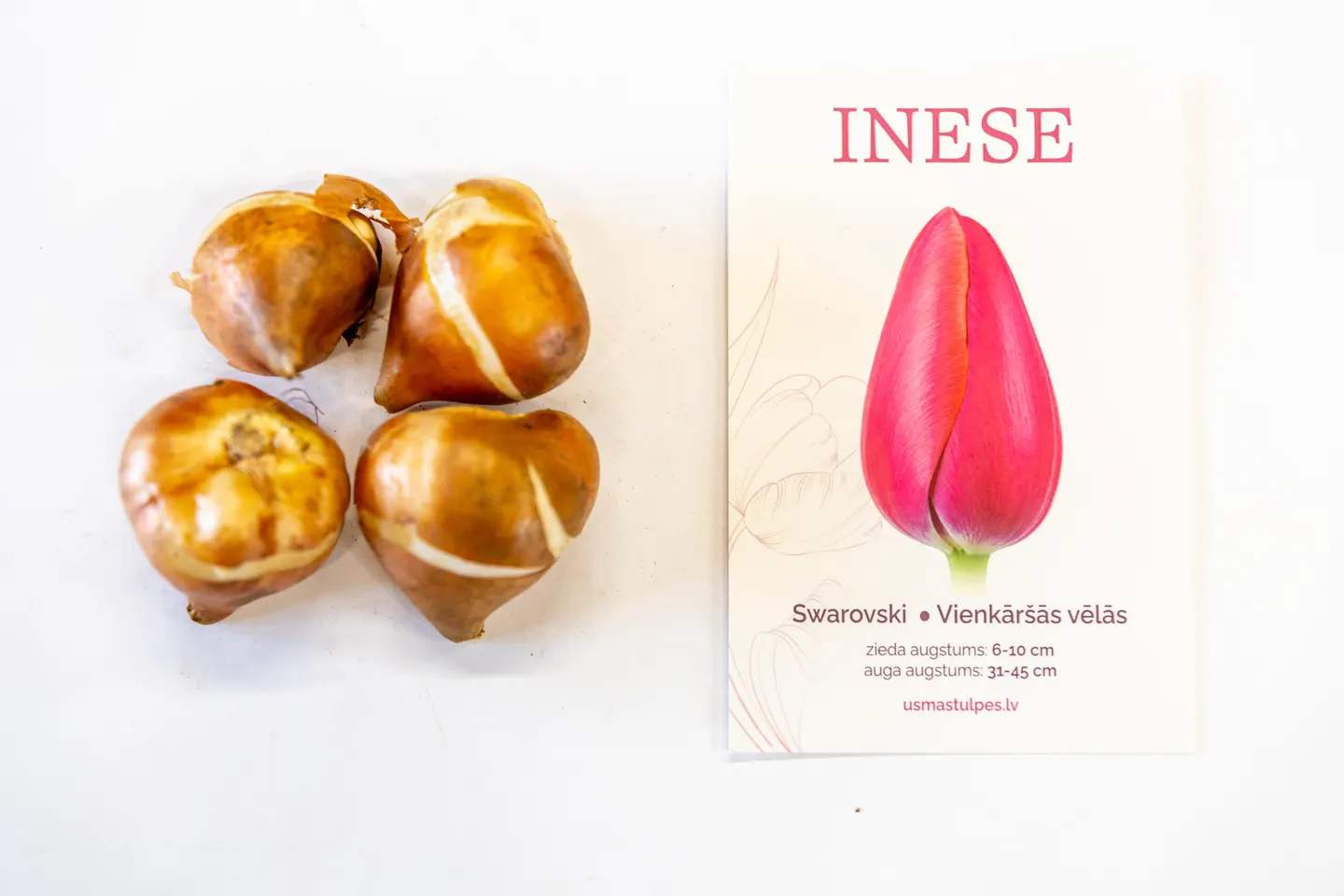 Inese