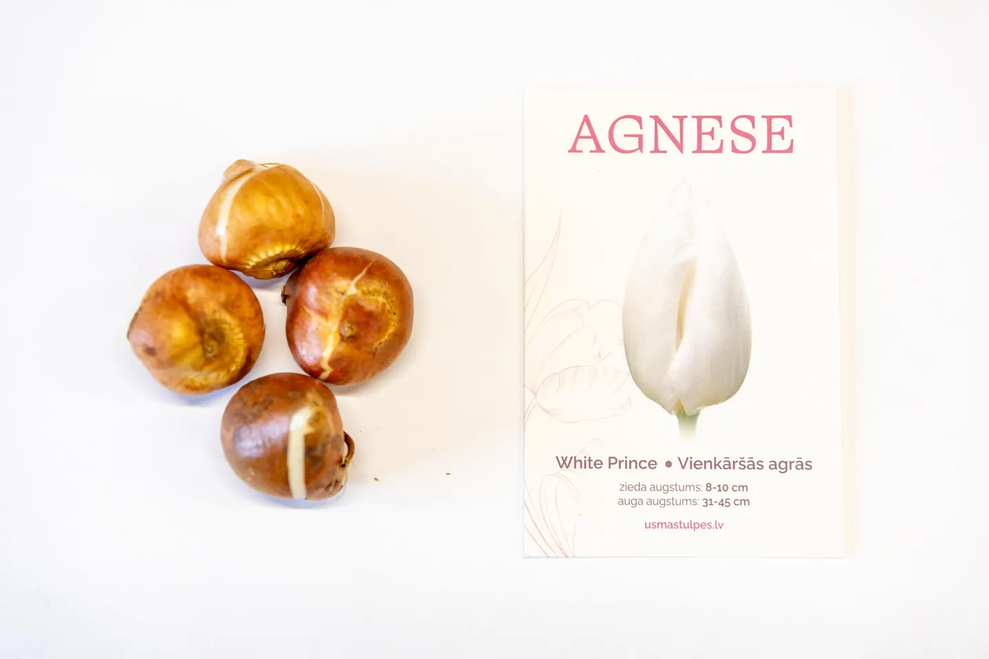 Agnese