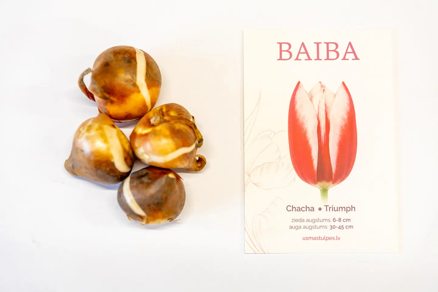 Baiba