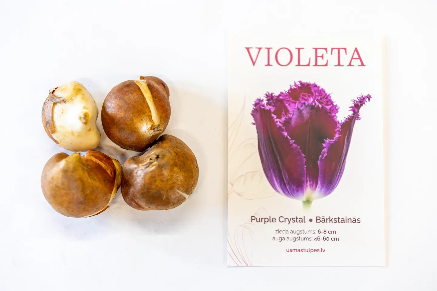 Violeta