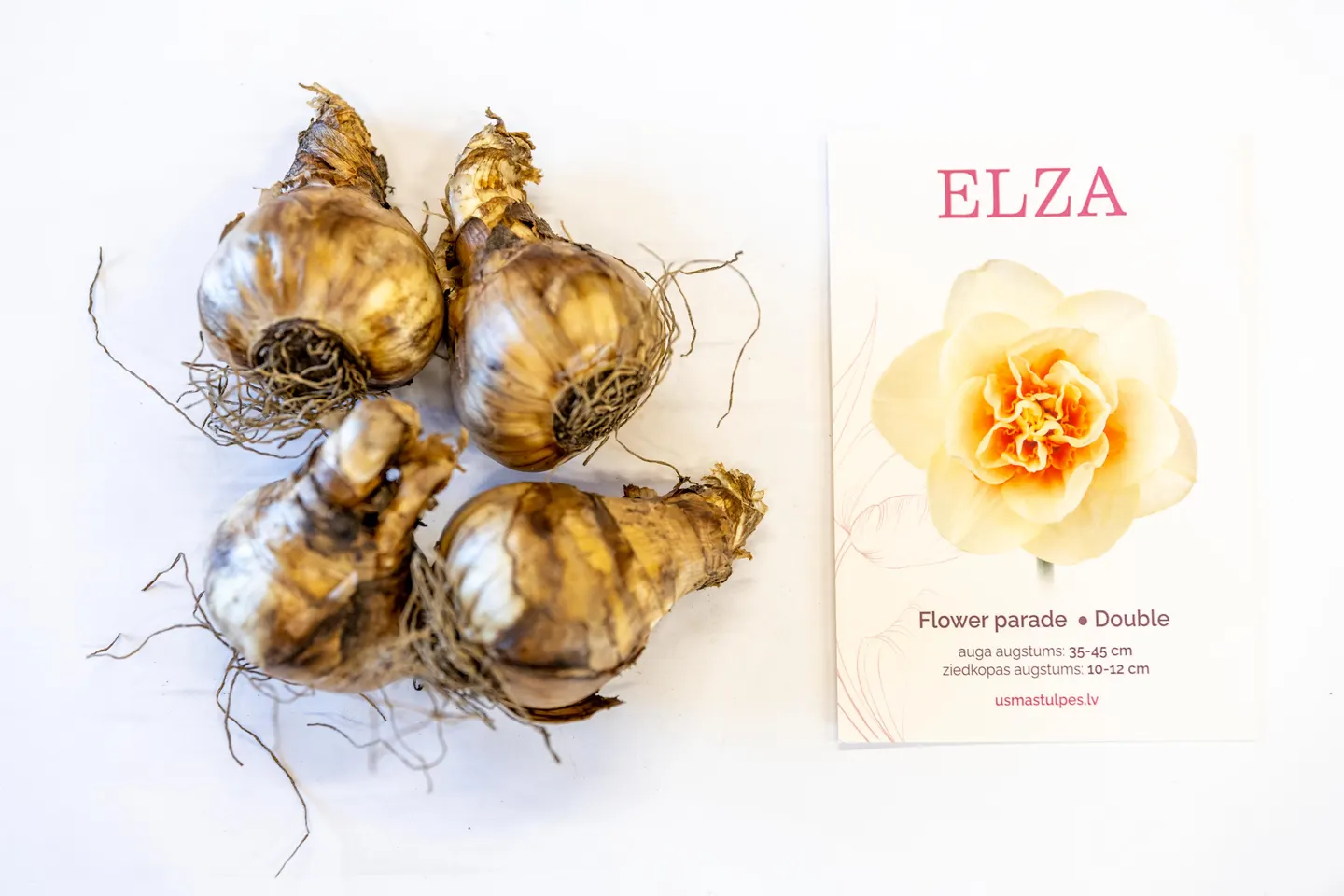 Elza