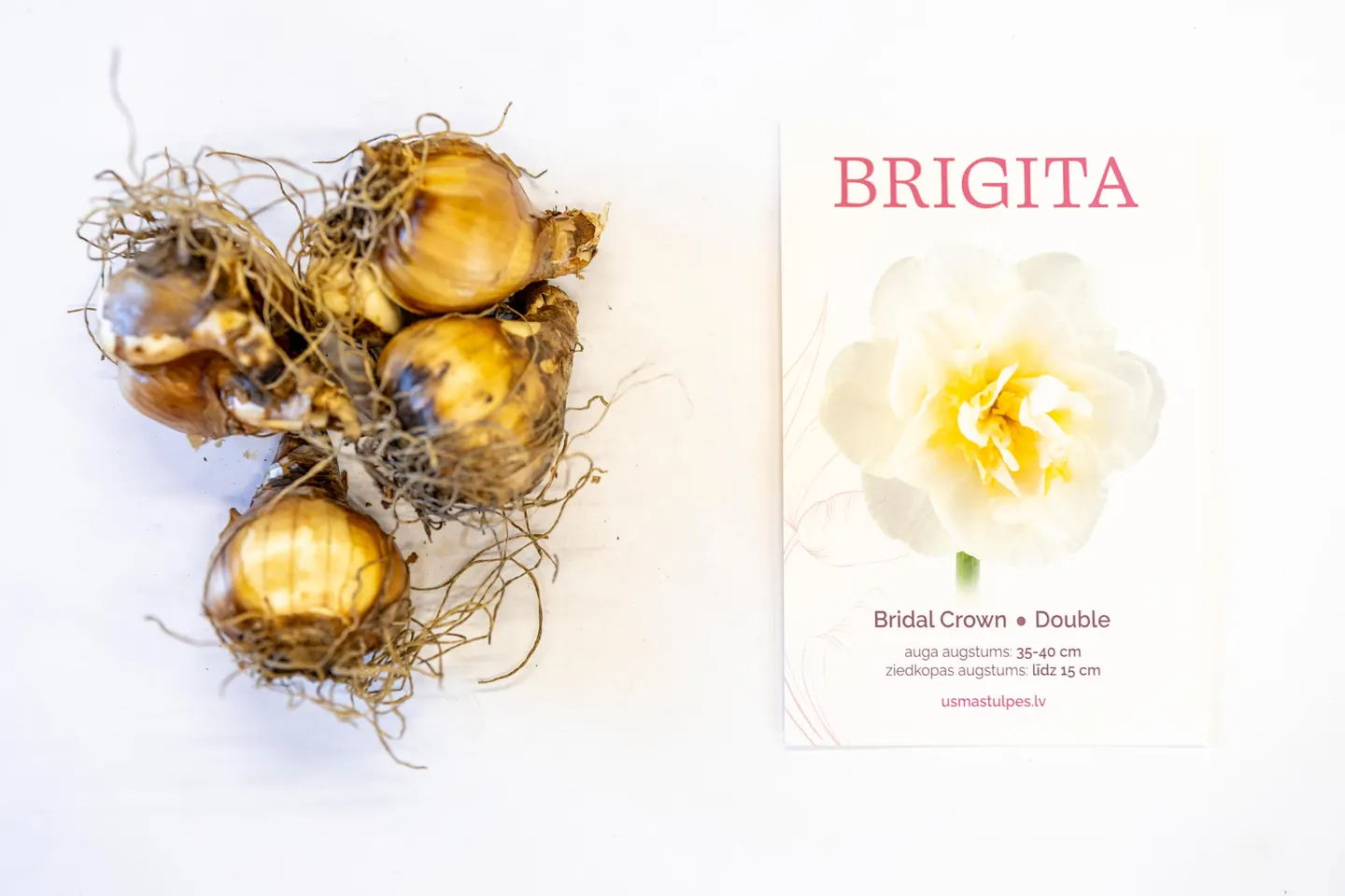 Brigita