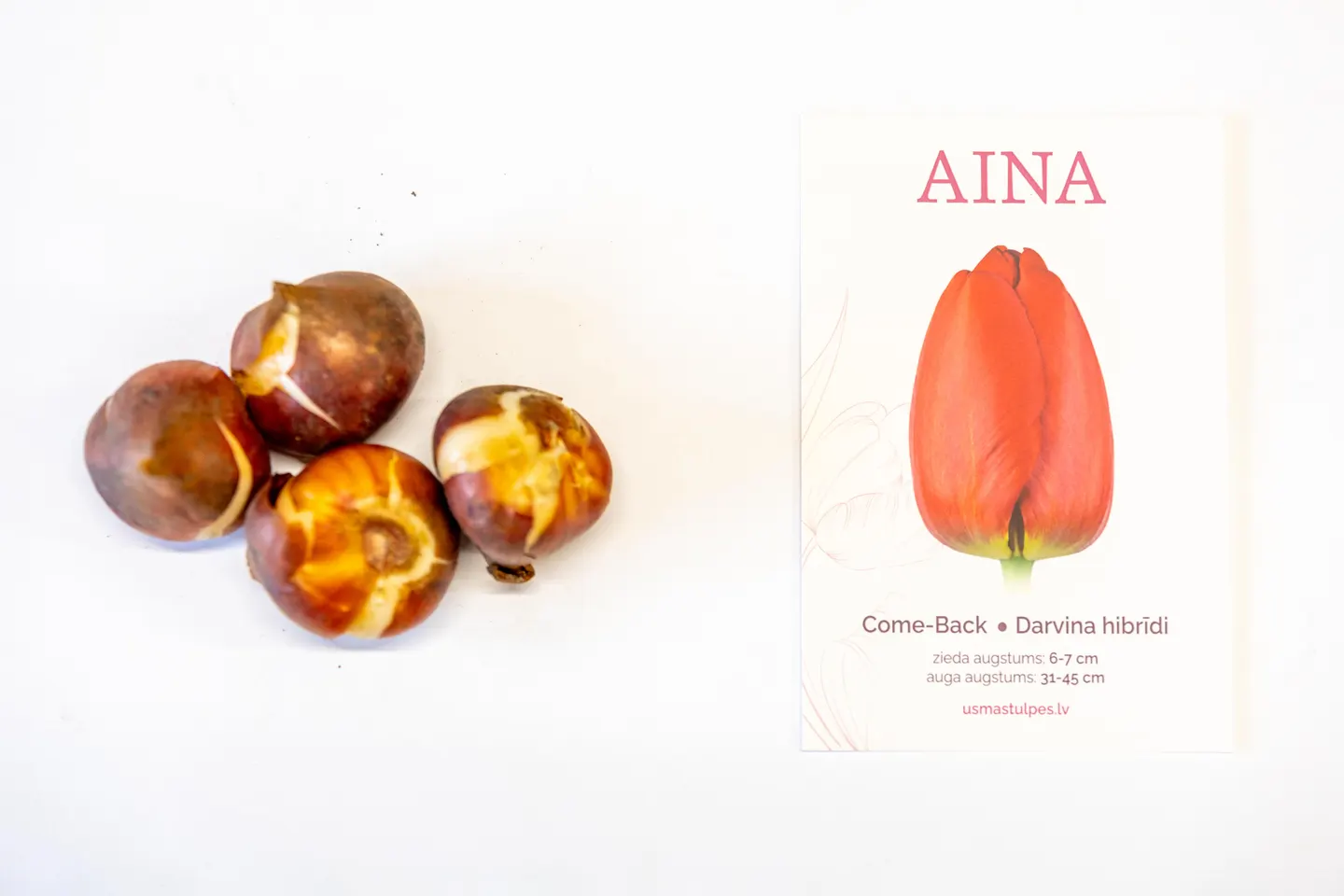 Aina