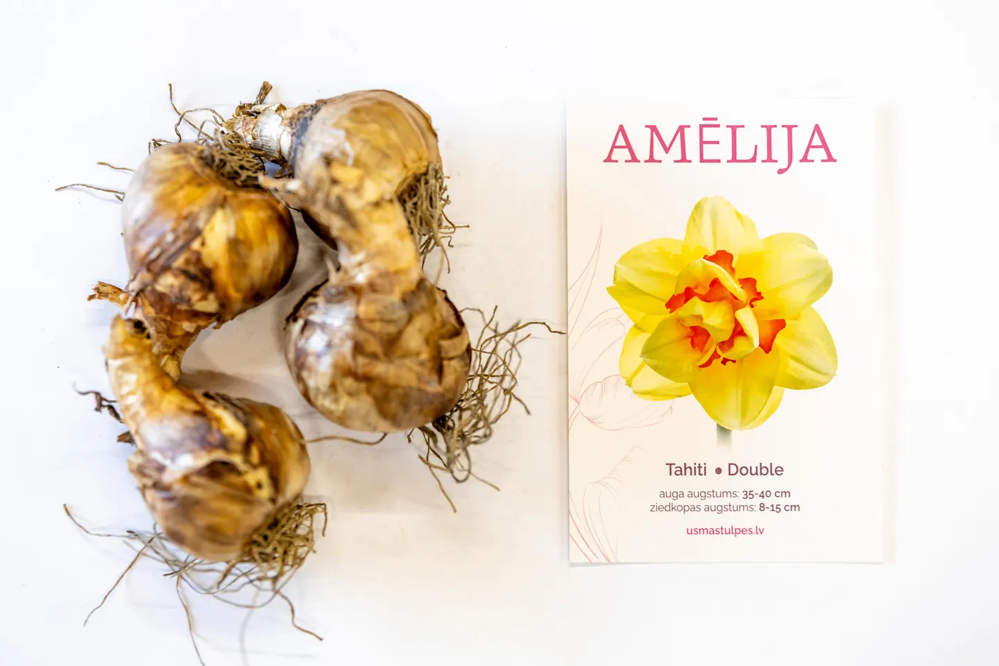 Amēlija