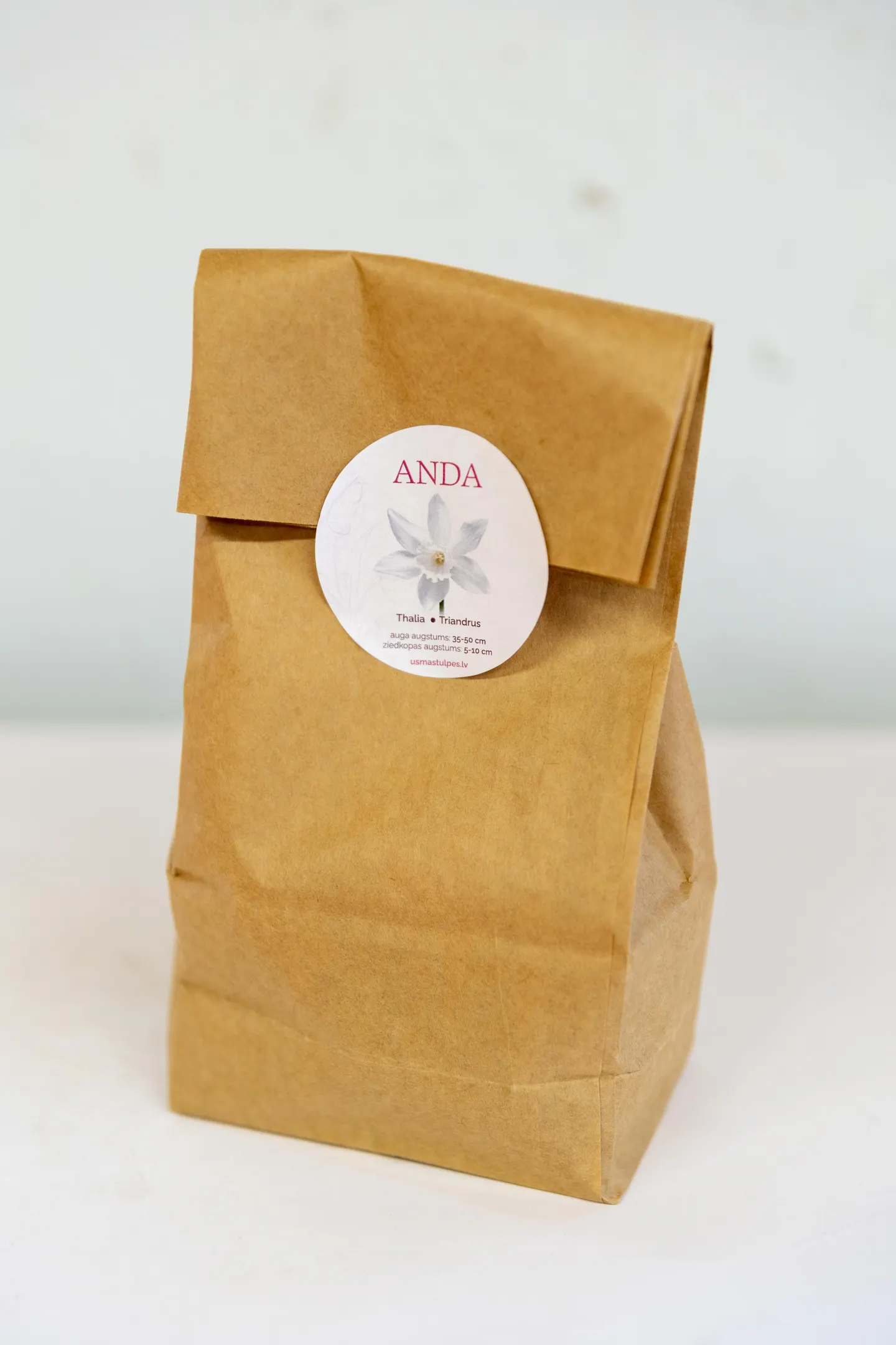 Anda