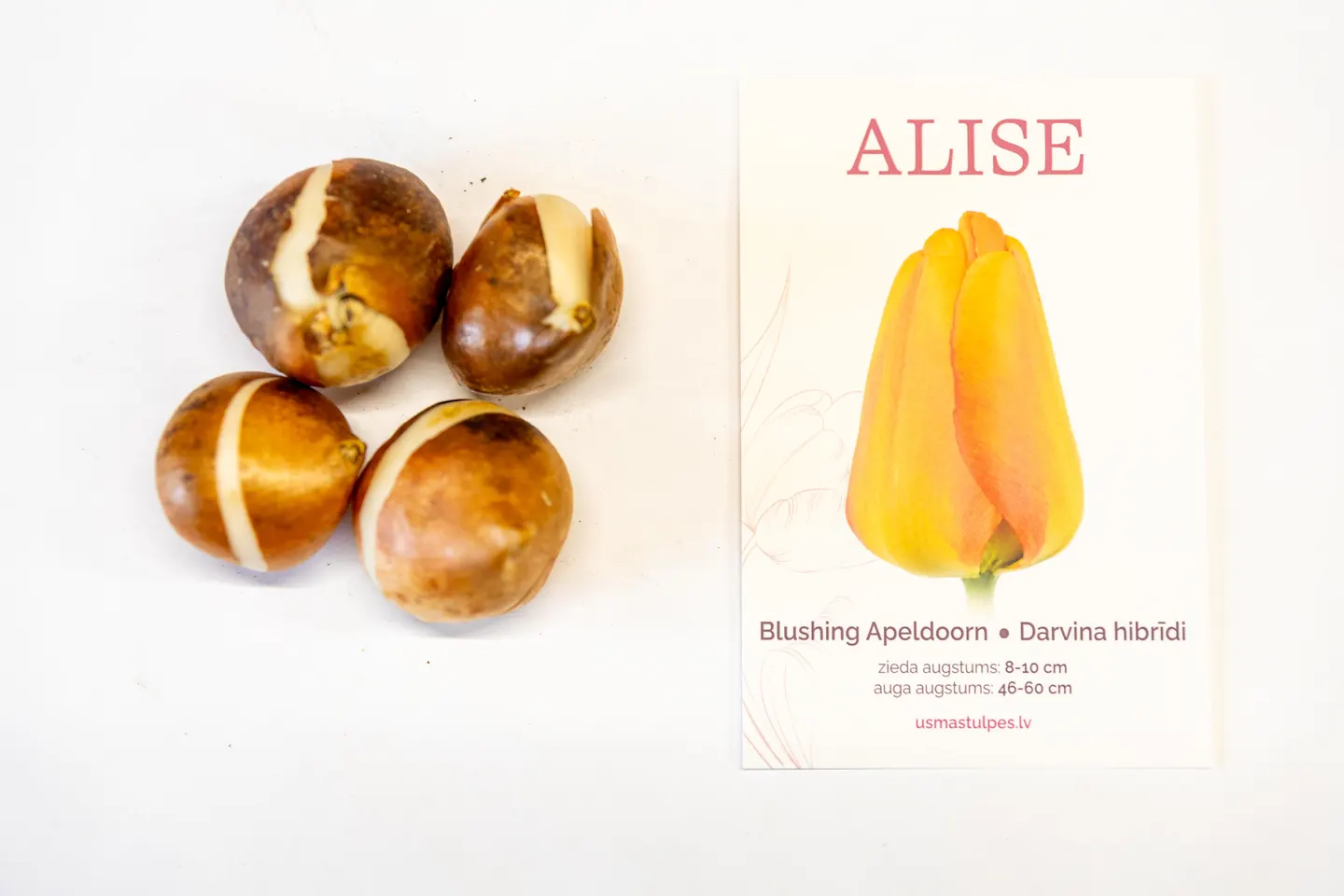 Alise