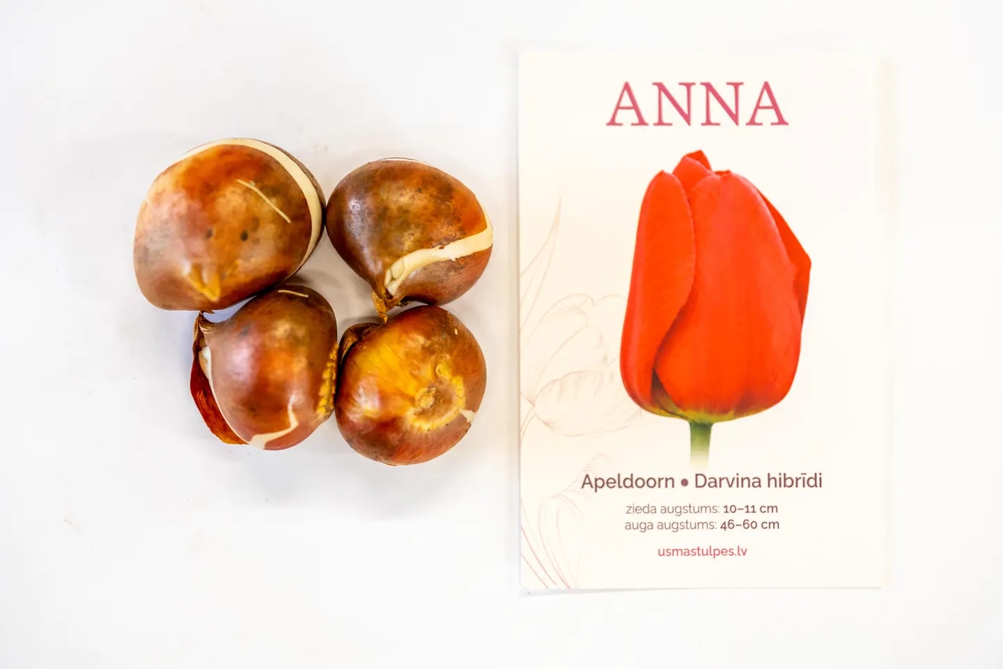 Anna